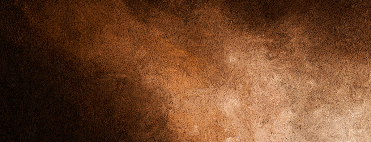 homepage-slider-image4